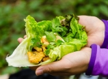 Lettuce wraps