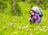 Among wildflowers
