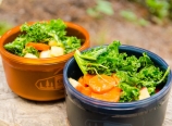 Kale salad with apples and carrots