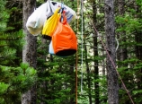 Hanging food and trash