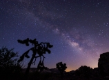 Milky Way seen from Hidden Valley