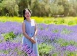 In the lavender field