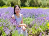 In the lavender field