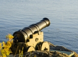 A working cannon