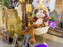 Baby monkey basket