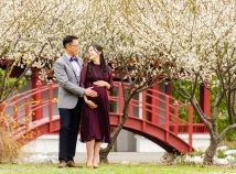 Twenty-six weeks with plum blossoms