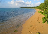 Playa Seven Seas