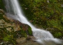 Waterfall along Greenstone Caples Track