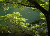 Lake Rere