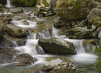 Routeburn River Tributary