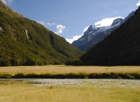 Routeburn Flats