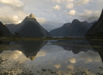 Milford Sound Morning