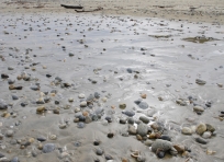 Blue Cliffs Beach