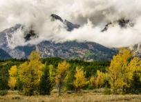 Shifting clouds and fall color