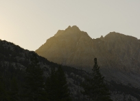First Light above McClure Meadow
