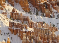 Snow in Bryce Canyon