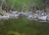 Fish Creek
