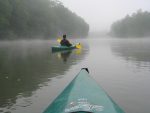 Paddling the Allegheny