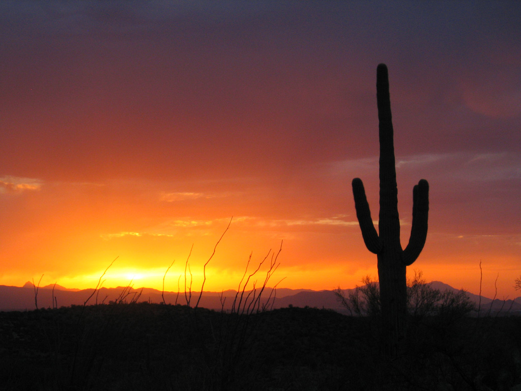 Tucson