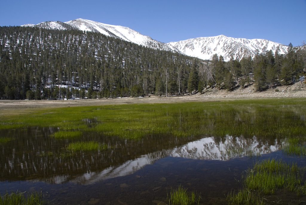 South Fork Trailhead