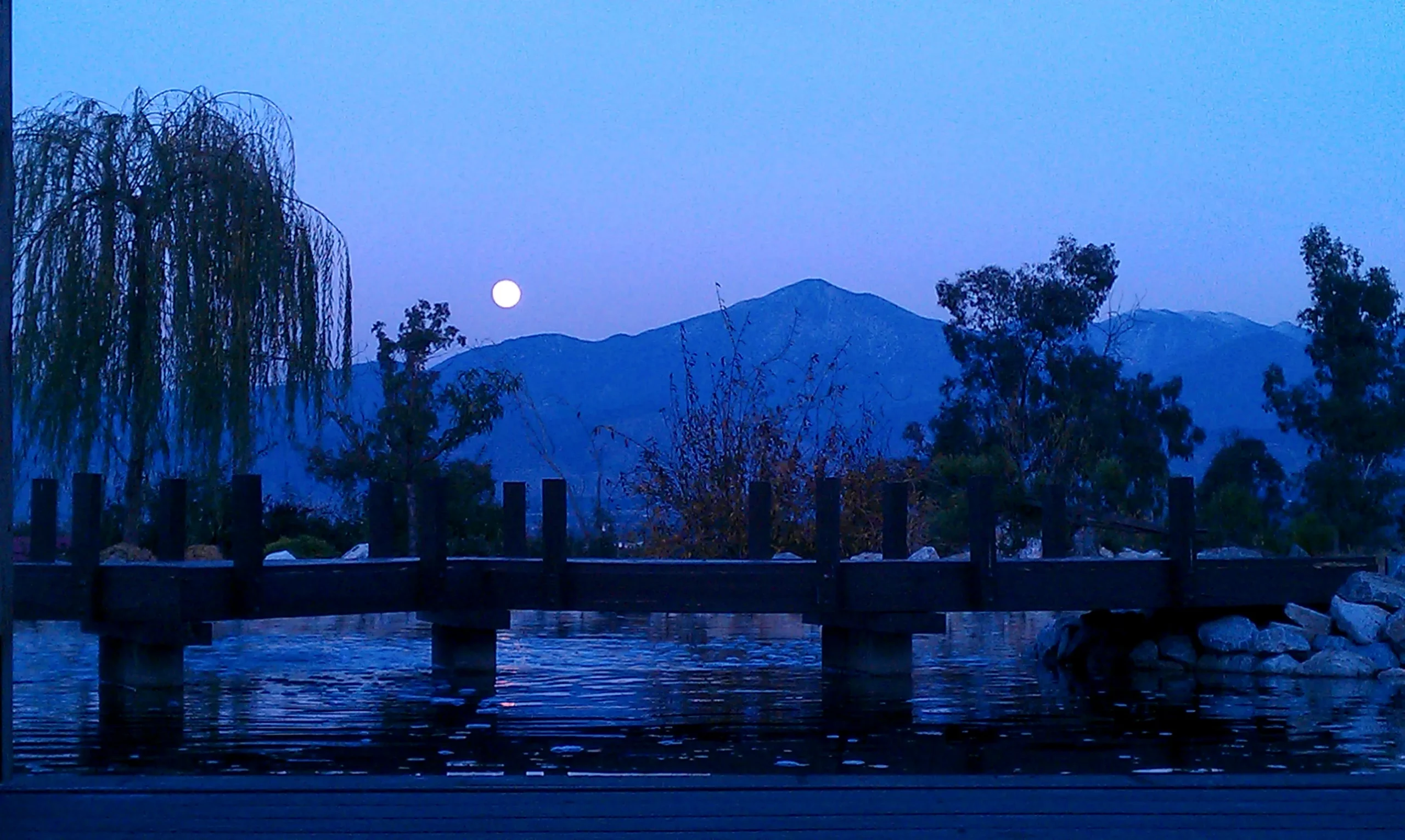 Moonrise Viewing from the Pond