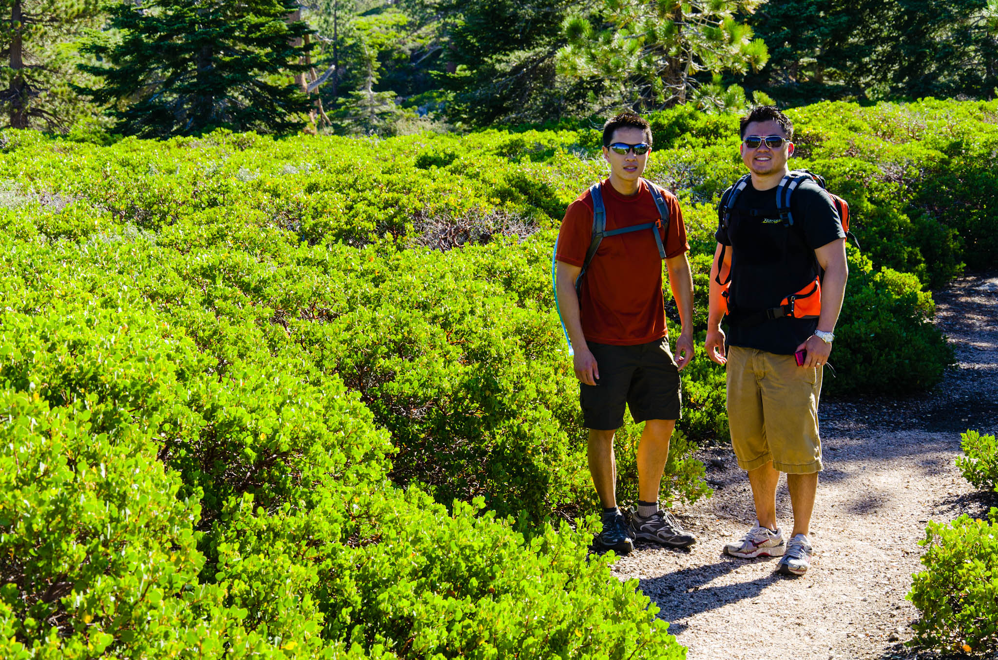 San Bernardino Peak