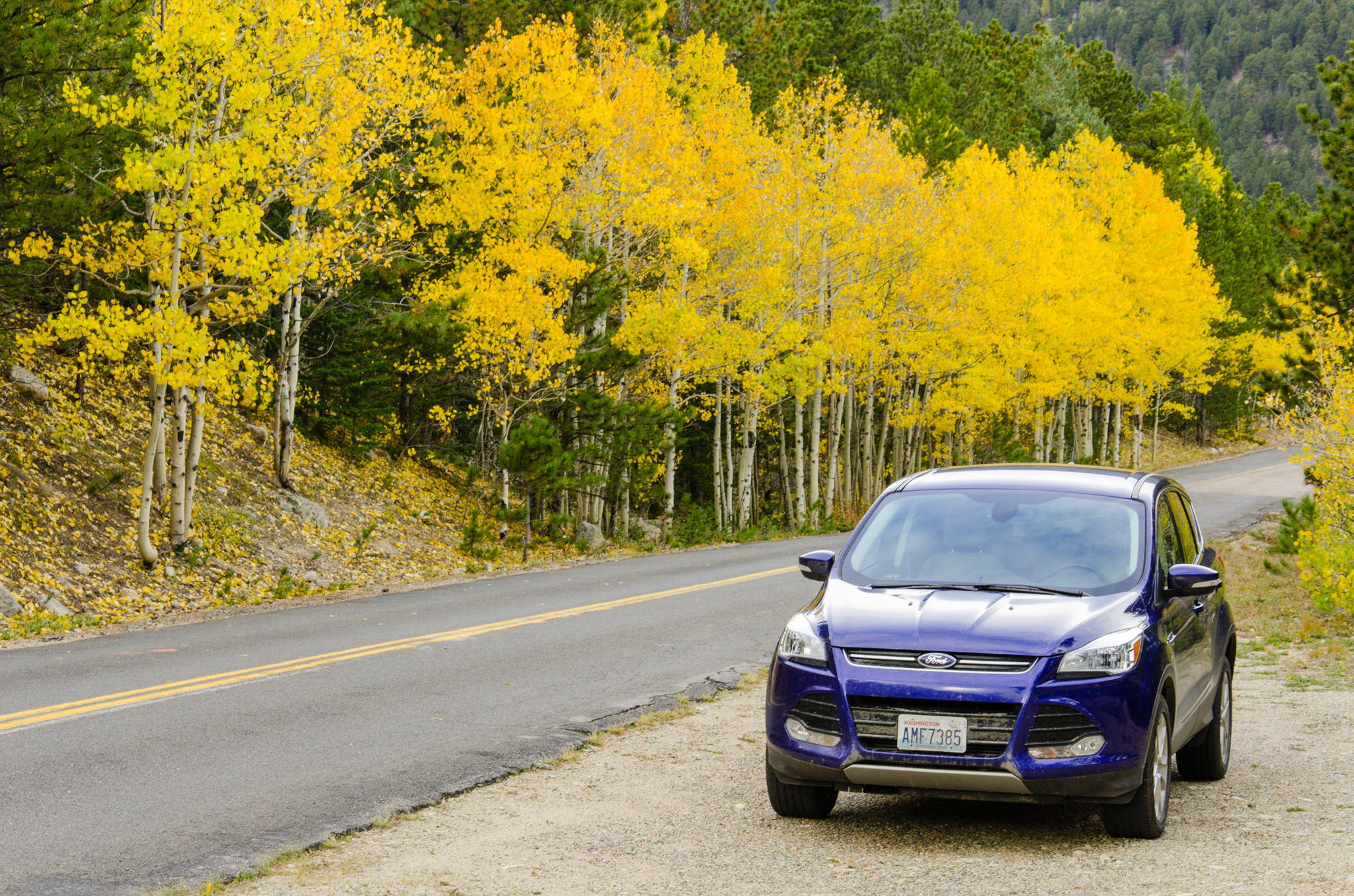 Colorado Fall Color