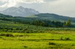 Montana and Colorado