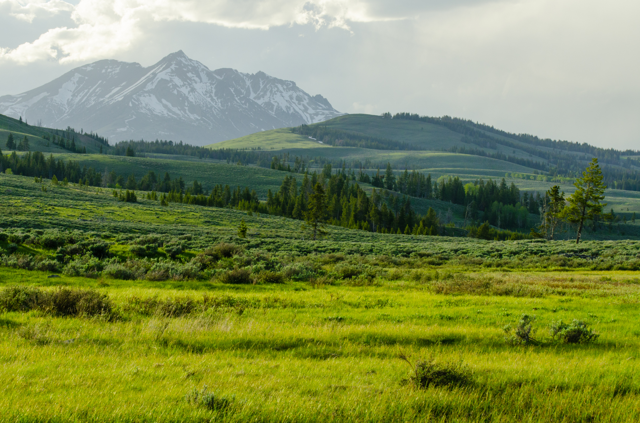 Montana and Colorado