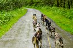 Part 4, In Juneau and Skagway