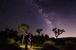 Joshua Tree Picnic