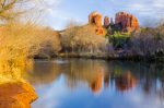 Saguaro and Sedona
