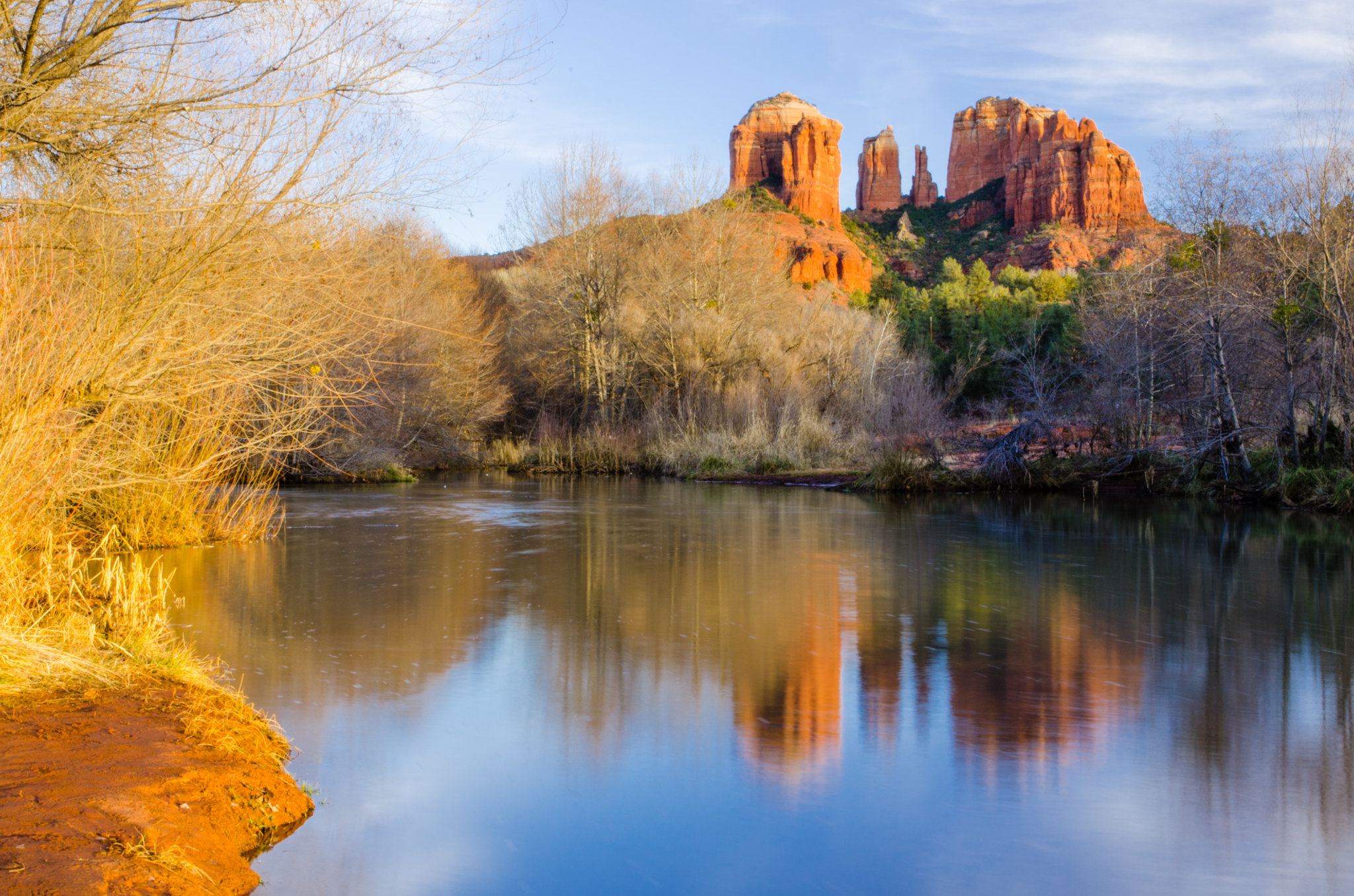 Saguaro and Sedona