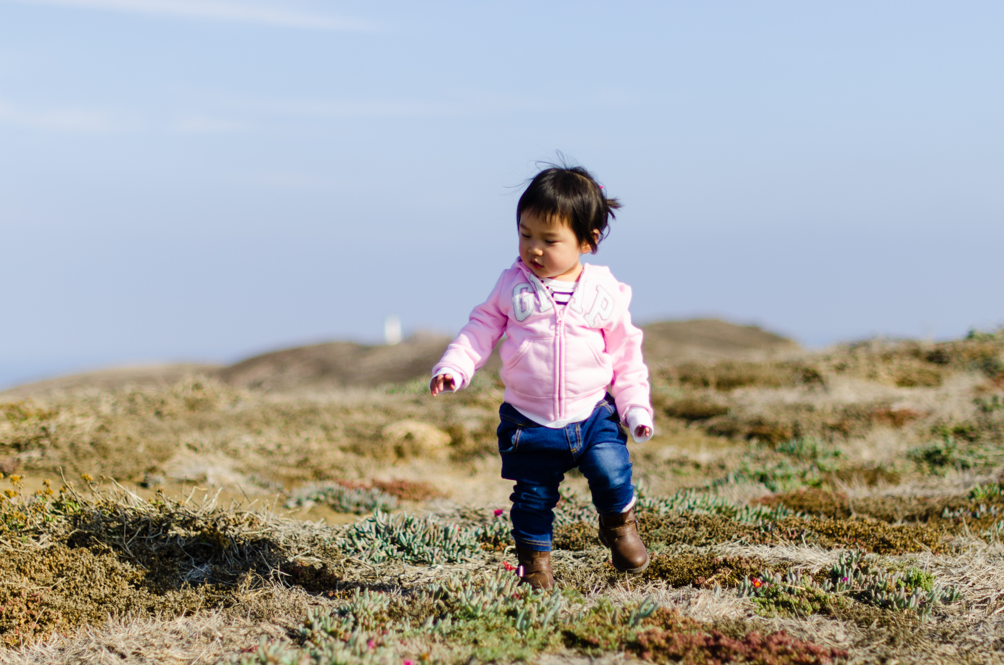 Channel Islands Excursion