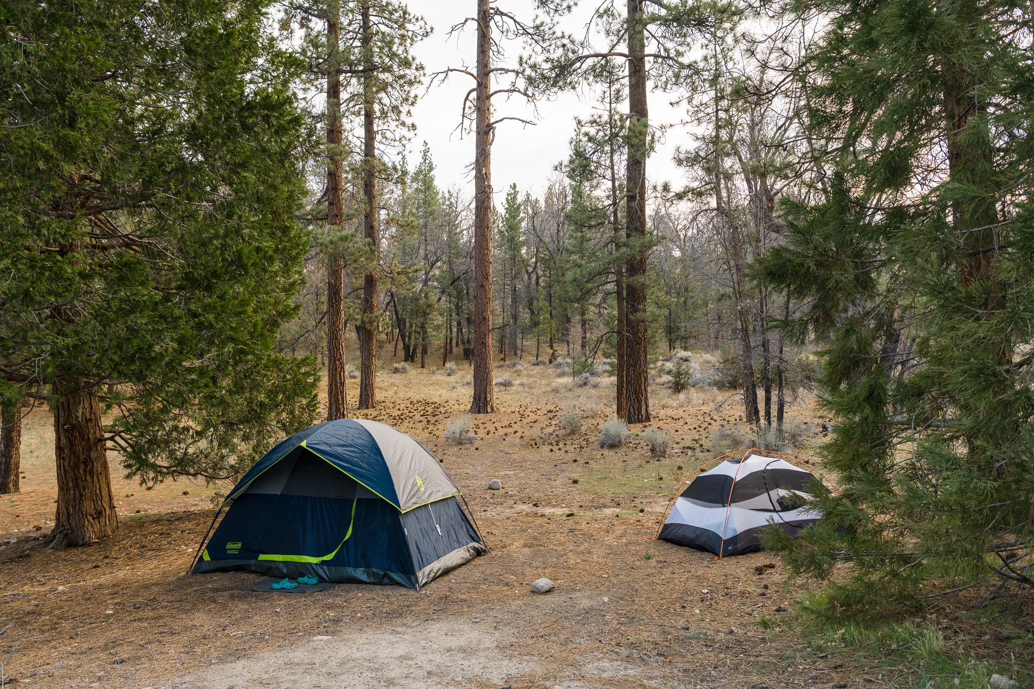 Camping in the San Bernardino Mountains