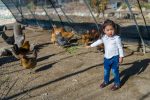 Experiencing 123 Farm