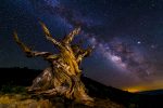 Summer Milky Way Camping