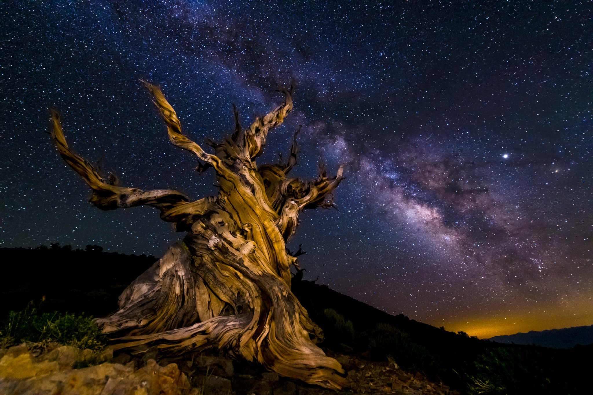Summer Milky Way Camping