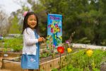Spring and Summer Garden