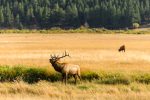 Denver, Rocky Mountain National Park, and Avon