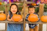 Trip to the Pumpkin Patch