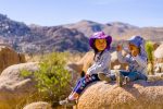 Joshua Tree in the Fall