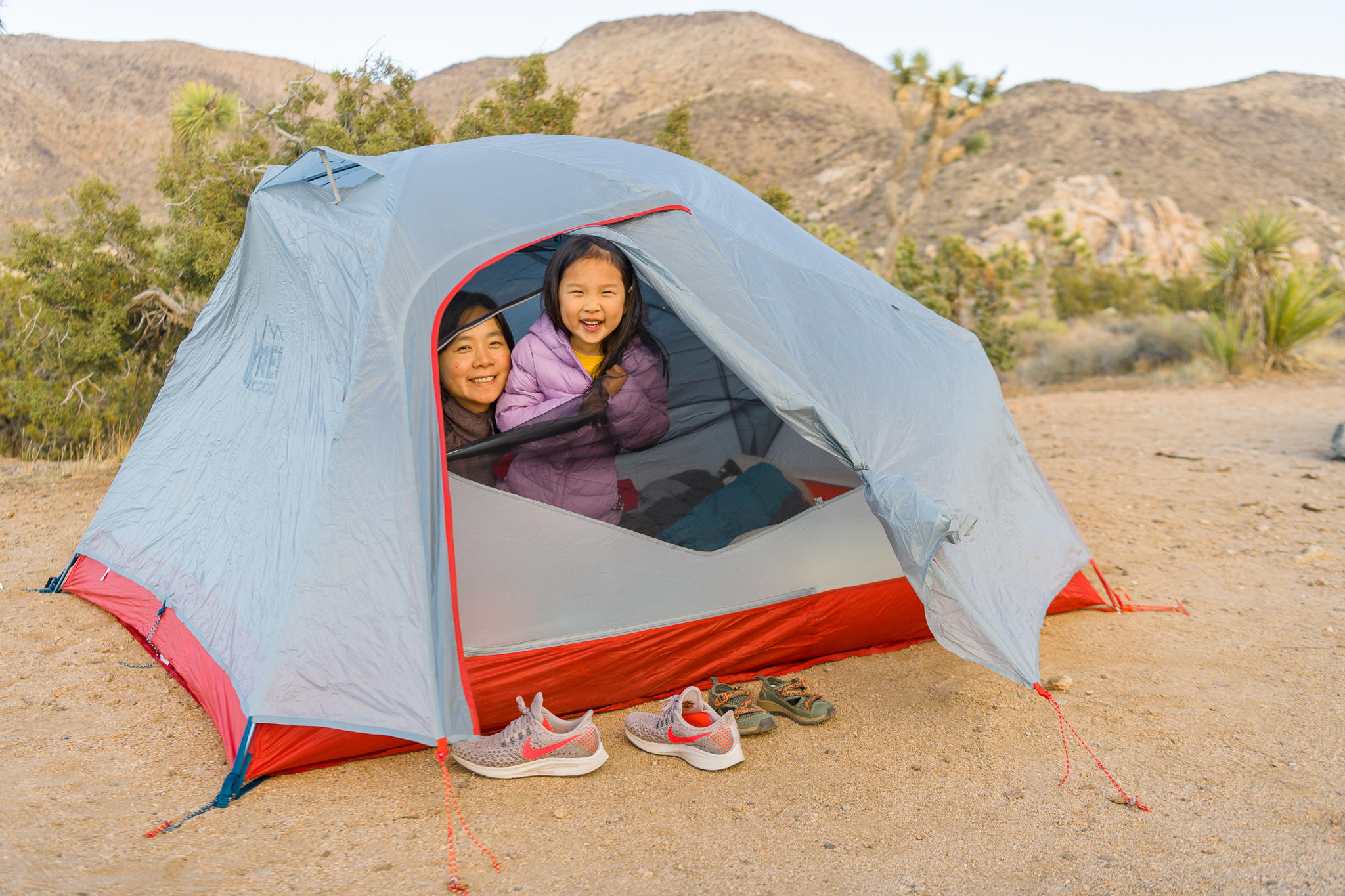Windy Joshua Tree Camping