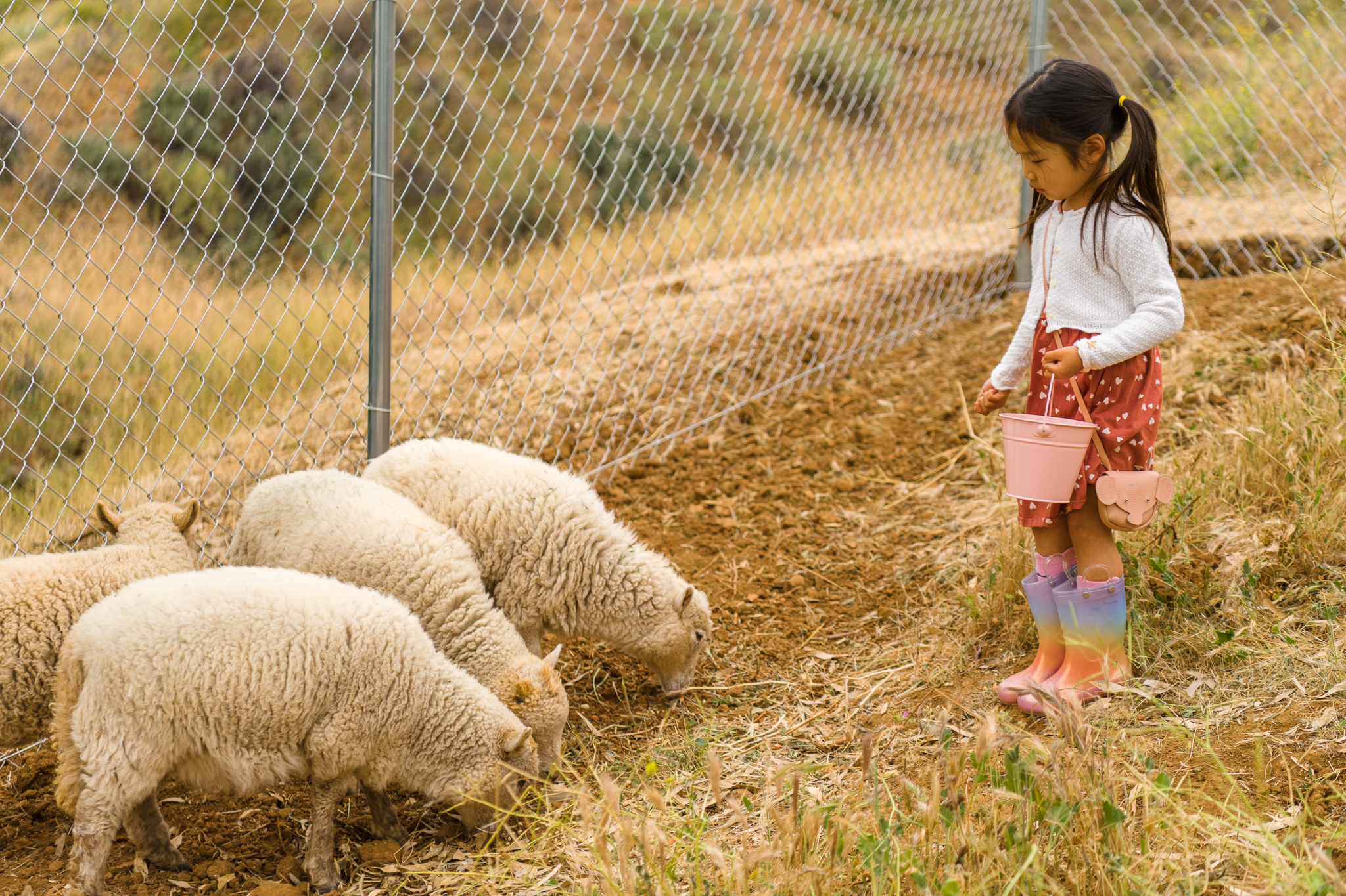 Daphney Turns Five