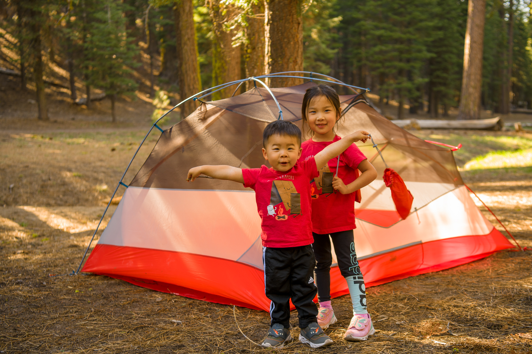 Lassen Volcanic National Park