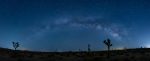Milky Way Viewing at Joshua Tree