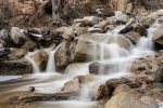Revisiting Forest Falls