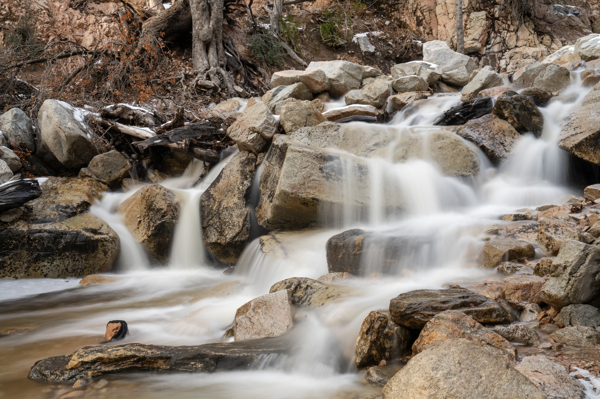 Revisiting Forest Falls