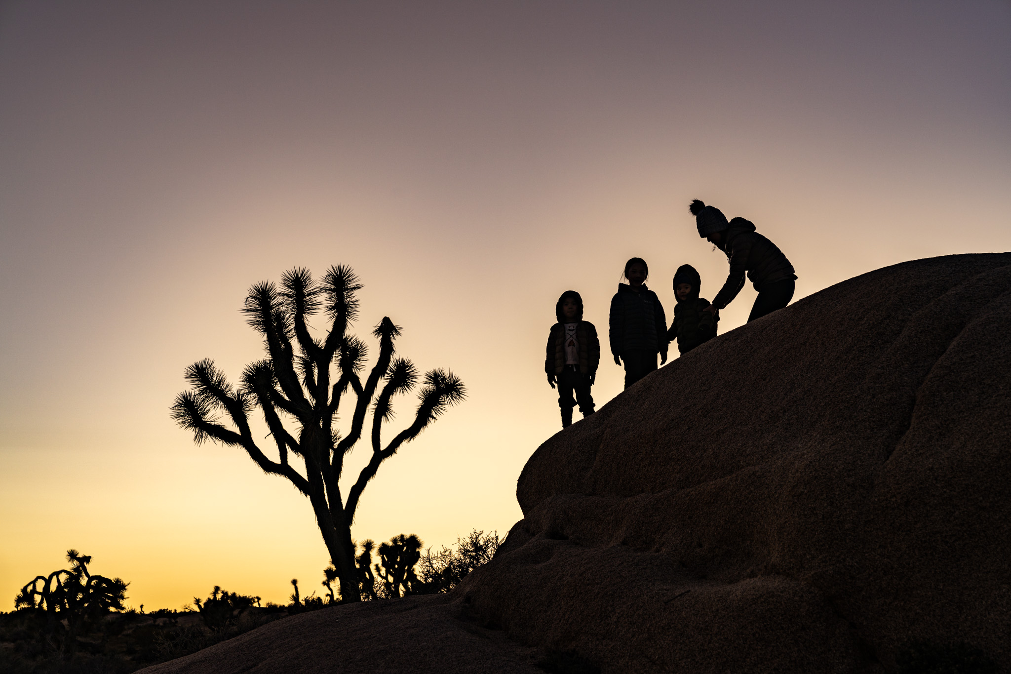 Black Rock and Jumbo Rocks at Joshua Tree