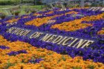 School of Medicine Graduation